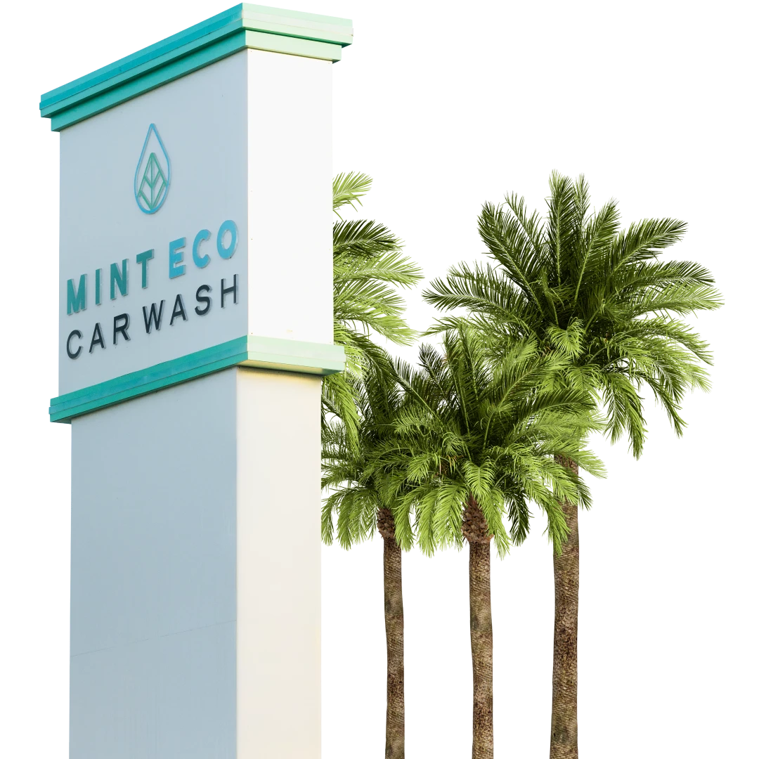 Mint Eco Car Wash exterior sign surrounded by palm trees